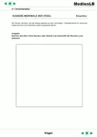 Vorschau - Arbeitsblätter - Vögel - Arbeitsblätter - Seite 2