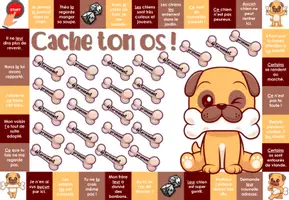 Aperçu - Jeux - Cache ton os - Distinguer pronom/déterminant - Page 1