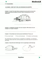 Vorschau - Arbeitsblätter - Reptilien - Arbeitsblätter - Deckblatt