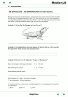 Vorschau - Arbeitsblätter - Reptilien - Arbeitsblätter - Seite 2