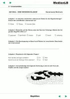 Vorschau - Arbeitsblätter - Reptilien - Arbeitsblätter - Seite 3