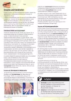 Vorschau - Arbeitsblätter - Enzyme und Krankheiten / Enzymatik - AB & Lösungen - Seite 1