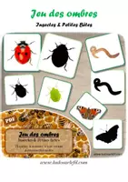 Aperçu - Apprentissages en autonomie - Kit Jeux Loupe & Ombres - Insectes & Petites Bêtes - Page 1