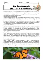 Vorschau - Arbeitsblätter - Schmetterlinge: Lebenszyklus, Bedeutung und Schutz (GRUNDSCHULE) - Seite 1