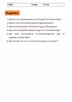 Vorschau - Arbeitsblätter - Schmetterlinge: Lebenszyklus, Bedeutung und Schutz (GRUNDSCHULE) - Seite 2