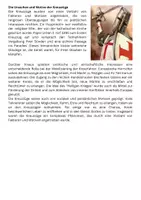 Vorschau - Arbeitsblätter - Kreuzzüge: Ursachen, Folgen und Bedeutung: Texte + Aufgaben - Seite 3
