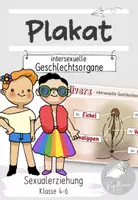 Vorschau - Poster - Materialpaket | Geschlechtsorgane: männlich, weiblich, divers - Seite 1