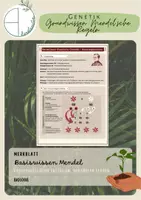Vorschau - Merkblätter - Grundbegriffe Klassische Genetik - Deckblatt