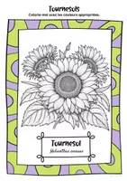 Aperçu - Feuilles d'exercices - Freebie : Coloriage gratuit | tournesol - Page 1