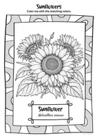 anteprima - Materiale di supporto/inclusione - Inglese: Freebie: pagina gratuita da colorare girasole - Pagina 2
