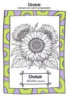 anteprima - Materiale di supporto/inclusione - Freebie: Pagina gratuita da colorare Girasole omaggio - Pagina 2