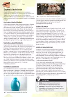 Vorschau - Arbeitsblätter - Enzyme in der Industrie / Enzymatik - AB & Lösungen - Seite 1