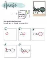 Vorschau - Stundenentwürfe - Insekten und Pflanzen Kunstprojekt - Seite 3