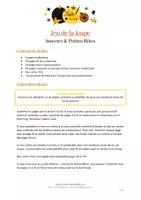 Aperçu - Apprentissages en autonomie - Jeu de la loupe - Insectes & Petites Bêtes - Page 1