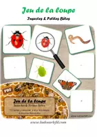Aperçu - Apprentissages en autonomie - Jeu de la loupe - Insectes & Petites Bêtes - Page de couverture