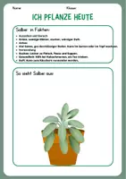 Vorschau - Unterrichtsreihen - Kräuterkunde Salbei Steckbrief - Deckblatt