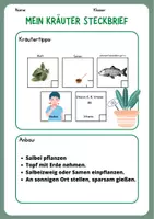 Vorschau - Unterrichtsreihen - Kräuterkunde Salbei Steckbrief - Seite 1
