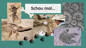 Vorschau - Stundenentwürfe - PPT & Stundenentwurf Fossilien - Doppellektion - inkl. Aufgabenkarten & Kahoot - Seite 1