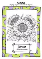 förhandsvisning - Freebie: gratis Färgläggningsbild Solros - sida 2
