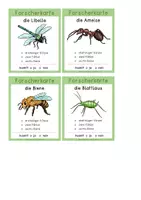 Vorschau - Anderer Materialtyp - Insekten – Forscheraufträge (vierfachdifferenziert) - Seite 1