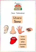 Vorschau - Präsentationen/Tafelbilder - Die fünf Sinne / Wahrnehmung: Tafelmaterial (Bildkarten) - Sachunterricht - Kl. 1/2 - Deckblatt