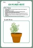 Vorschau - Arbeitsblätter - Kräuterkunde Dill - Deckblatt