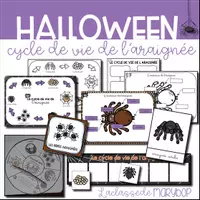 Aperçu - Affichage - Le cycle de vie de l´araignée - Page de couverture