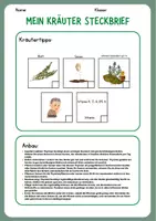 Vorschau - Mal- und Bastelvorlagen - Kräuterkunde Steckbrief Thymian - Seite 1