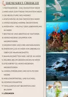 Vorschau - Unterrichtsreihen - Themenheft Ökosystem Meer / Ozeane / Meerestiere / Nahrungsketten uvm. mit Lösung (Klasse 7/8/9) - Seite 1