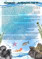 Vorschau - Unterrichtsreihen - Themenheft Ökosystem Meer / Ozeane / Meerestiere / Nahrungsketten uvm. mit Lösung (Klasse 7/8/9) - Seite 2