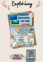 Vorschau - Spiele - Suchsel zum Ökosystem Meer (Klasse 6/7/8) - Seite 2
