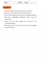 Vorschau - Arbeitsblätter - Stressbewältigung: Strategien für ein gesünderes Leben - Seite 3