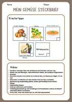 Vorschau - Stundenentwürfe - Gemüsegarten Schulgarten - Seite 1