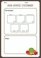 Vorschau - Stundenentwürfe - Gemüsegarten Schulgarten - Seite 3