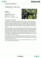 Vorschau - Text - Evolution - Ergänzende Aufgaben - Seite 1