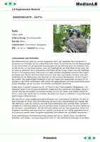 Vorschau - Text - Evolution - Ergänzende Aufgaben - Seite 2