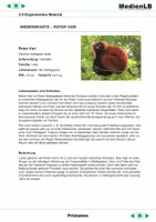 Vorschau - Text - Evolution - Ergänzende Aufgaben - Seite 3
