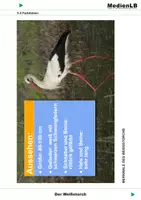 Vorschau - Präsentationen/Tafelbilder - Der Weißstorch - Farbfolien - Deckblatt