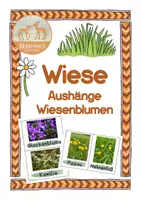 Vorschau - Merkblätter - Wiese Aushänge Wiesenblumen - Deckblatt