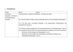 Vorschau - Stundenentwürfe - Unterrichtsentwurf und UB-Material - Wirbeltierklassen - Seite 1