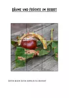 Vorschau - Arbeitsblätter - Materialpaket: Bäume und ihre Früchte im Herbst - Seite 1