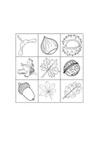 Vorschau - Arbeitsblätter - Materialpaket: Bäume und ihre Früchte im Herbst - Seite 3