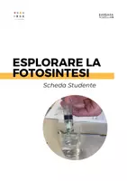anteprima - Esperimenti - Esplorare la fotosintesi - Pagina 3