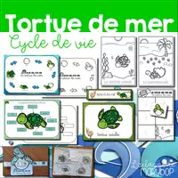 Aperçu - Jeux - Cycle de vie de la tortue de mer - Page de couverture