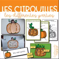 Aperçu - Affichage - Les différentes parties de la citrouille - Page de couverture