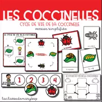 Aperçu - Feuilles d'exercices - Cycle de vie de la coccinelle - Version simplifiée - Page de couverture