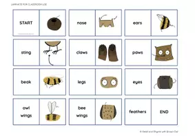 Vorschau - Stationenlernen - Bees, Bears & Owls - Body Parts Dominoes - Seite 1