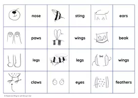 Vorschau - Stationenlernen - Bees, Bears & Owls: Body Parts Game of Pairs - Seite 2