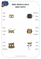Vorschau - Stationenlernen - Bees, Bears & Owls: Body Parts Peg Cards - Seite 2