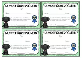 Vorschau - Anderer Materialtyp - Hundeführerschein Schulhund-AG - Seite 2